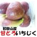  инжир Wakayama производство 1.8kg джем конструкция ichi ось инжир нет цветок ...1 упаковка 300g передний и задний (до и после) ×6 упаковка итого 1.8kg передний и задний (до и после) нет выбор другой 