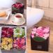 �� �M�t�g �a���� �t�����A�� �V���R���E�f���I �i�U�F����I���~�Q�j �M�t�g���z�[�����i ����������㎿�� ���� ���� �{�b�N�X  ���� �֘A�摜2
