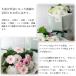 �� ����  �M�t�g ������� ������ ���菤�i �t�����A�� �u�[�P S�T�C�Y�i3�F�I���j�R���h���I���X  �D�ǔz������ �ԑ� ���܂��� ���� ���� �֘A�摜2