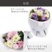 �� ������� ������ ���菤�i �t�����A�� �R���h���I���X �u�[�P M�T�C�Y�i3�F�I���j  �D�ǔz�� ���� �ԑ� �u�[�P  �M�t�g ���܂��� ���� �֘A�摜3