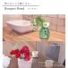 �� ���� �M�t�g �a���� �A�����W�����g  �u�[�P �~�b�N�X�u�[�P ������ �t�����A�� Trio�EBouquet �D�ǔz��  �a���� ���� �֘A�摜4