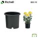  рассылка классификация K1. горшок 5 номер Ricci .ru диаметр 17× высота 14cm земля емкость 1.5L садоводство садоводство горшок покрытие цветочный горшок модный посадочная машина пластиковый круг форма иен тубус форма круглый 