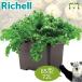  рассылка классификация K2.. хорошо сделанный jumbo 65 type Ricci .ru емкость 72L садоводство садоводство горшок покрытие цветочный горшок огород овощи картофель дайкон помидор огурец веранда 