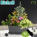 рассылка классификация K1 стежок посадочная машина 42 type N Ricci .ru42×19× высота 17cm емкость 8L садоводство садоводство горшок покрытие цветочный горшок модный посадочная машина пластиковый 