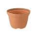  ограниченное количество .... pot 7 номер садоводство сад садоводство цветочный горшок модный салон пластик Ricci .ru