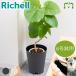  рассылка классификация K1 серый колено стеганый чехол 6 Ricci .ru6 номер горшок . входить . садоводство садоводство горшок покрытие цветочный горшок модный посадочная машина глубокий type высокий модель высокий 