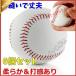  softball type baseball baseball ball catch ball baseball practice ball practice for 6 piece set beginner junior high school student elementary school student parent . present child. day Father's day 