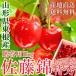  cherry Sato . Yamagata prefecture higashi root production 1kg Special preeminence L size .. for 