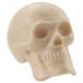 GROVER/Trophy (g Rover Trophy ) Beadbrain Skull Shaker BB-BONE