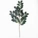  artificial flower sa oyster . large 70cm( fake green * structure leaf * human work decorative plant )
