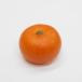 [ artificial flower ]mi can mandarin orange ( fake food food sample citrus unshiu )