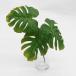  human work decorative plant monstera bush fake green structure leaf 