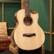  outlet распродажа outlet Traveler Guitar тигр bela- гитара акустическая гитара Redlands Concert Spruce электроакустическая гитара akogi