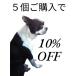 Wii �E�B�[ �k���`���N �V�� �N�� ���� �C�V�� �j���e���h�[ ���� �֘A�摜2