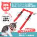 �L �n�[�l�X �R�^�C�v ���[�h �L�p ��� ���[�h�t�� �L�p�i �U�� ������� ��̌^ �O��Ȃ� �E���Ȃ� �n�[�l�X���[�h �����L ���L�p ���߉\ �O�o�g���[�j���O �֘A�摜2