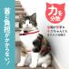 �L �n�[�l�X �R�^�C�v ���[�h �L�p ��� ���[�h�t�� �L�p�i �U�� ������� ��̌^ �O��Ȃ� �E���Ȃ� �n�[�l�X���[�h �����L ���L�p ���߉\ �O�o�g���[�j���O �֘A�摜3