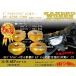  Skyline GTR Fairlady Z Z Stagea _BNR32Z32BCNR33BNR34WGNC34_KANEKOWORKS диф крепление rigid цвет RF-SPEC-R/Pro(RFR/RFPro)