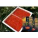 2025 год новый предмет ... соевый соус ..500g ×2.1kg Hokkaido производство matatsu вода производство осень лосось. яйцо есть перевод бесплатная доставка подарок 