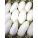  condiment optimum .. daikon radish . taste daikon radish daikon daikon 1 box 2.5kg