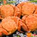  Boyle четырёхугольный волосатый краб .500g передний и задний (до и после) 4 хвост комплект шерсть .. краб miso морепродукты подарок . ваш заказ подарок гурман бесплатная доставка o сигнал tsuk краб Hokkaido отметка использование . покупка 
