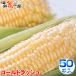  кукуруза Gold Rush 50шт.@ примерно 20kg Hokkaido Tokachi прямая поставка от производителя .. просо ваш заказ гурман кукуруза сладкий кукуруза кукуруза 