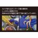 ���� �G�r �C�V �Â��тނ��g 500g ����ނ� �h�g ���H �C�N�� ���炵���i ������ ���蕨  ������ �~�M�t�g ���� ���Ε� �֘A�摜3