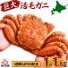  огромный . четырёхугольный волосатый краб Hokkaido производство 1.1kg передний и задний (до и после) шерсть . не рефрижератор рефрижератор очень большой .. шерсть . шерсть .. краб тест .. miso . шерсть ... четырёхугольный волосатый краб . sashimi четырёхугольный волосатый краб . тест . краб краб . почтовый заказ 