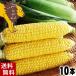 ( free shipping ) raw corn lion corn 10 pcs insertion . Hokkaido production sweet corn Gold Rush *.... corn raw .. millet your order 