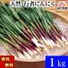2026 год предшествующий предварительный заказ бесплатная доставка весна дикоросы, овощи. line человек чеснок a собака лук-батун 1kg Hokkaido производство line человек чеснок gyouja чеснок. hi летящий ro,ki летящий ro.. называется. 
