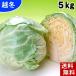 (送料無料)北海道冬野菜　和寒町産 雪の下越冬キャベツ　合計5ｋｇ（2〜4玉入り）雪の下キャベツ　イチゴより甘い雪下キャベツ 糖度10度