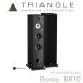 TRIANGLE пол Stan DIN g динамик Borea BR10 passive динамик ( пара ) BLACK