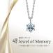 .. бриллиант подвеска Jewel of Memory [MDP-001] выполненный под заказ ювелирные изделия колье под рукой .. memorial оригинал 
