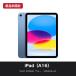 Apple Wi-Fi iPad�iA16�j 256GB �u���[ MD4H4J/A