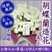 . butterfly orchid artificial flower photocatalyst has processed *fareno5ps.@. free shipping [....* funeral *.... present .]