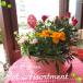 �G�߂̂��܂����񂹔��i�J���p�[�j���u���L�ی^�o�P�c�jM�T�C�Y�i��̓��o�[�W�����j�@�� �t�����[ �v���[���g �M�t�g ���蕨 �񂹐A�� ��̓��M�t�g 2020�N