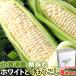 время ограничено утро .. Hokkaido производство белый кукуруза L~2L размер 1 кейс 8 шт. входит . наложенный платеж не возможно прямая поставка от производителя подарок соответствует возможно товар 