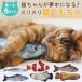  все товар Point10 раз! максимальный коэффициент увеличения 50% кошка игрушка рыба подушка кошка игрушка кошка one Chan мелкие вещи игрушка 