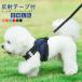  собака кошка Harness шлейка Lead имеется комплект плата немного шлейка с поводком прогулка для .... модный кошка one Chan все размер Lead SET сетка Harness love собака 