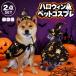 2 позиций комплект манто + шляпа Halloween домашнее животное одежда костюмированная игра собака кошка костюмная одежда Mahou Tsukai . женщина магия . собака для кошка для собака одежда собака одежда кошка одежда собака сопутствующие товары 