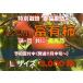  Gifu префектура производство . иметь хурма специальный культивирование 2021 год предмет распродажа начало 11 месяц 20 день примерно ~ 100 удача сельское хозяйство закон ....[L размер 1 уровень коробка ]. тест свежесть выдающийся! хурма. король .. для подарок по случаю конца года соответствует 