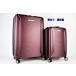  есть перевод Samsonite Element чемодан 2 шт. комплект балка gun ti33.7L 92.8L TSA блокировка Samsonite ELEMENT XLT выставленный товар R2505-174