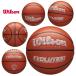  Wilson баскетбол 7 номер закрытый для Индия aEVO EDITIONS WZ1013501XB7