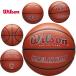  Wilson баскетбол 7 номер закрытый для Индия aEVO EDITIONS ST. ALBANS WZ1013801XB7