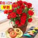  День матери цветок подарок растение в горшке 2026 гвоздика ( скидка за ранний заказ букет конфеты сладости 80 плата 70 плата 60 плата стандартный высококлассный подарок комплект цветочный горшок вид ) 4 номер горшок можно выбрать сладости MD6K