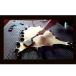 �t�� �L�����Z�[�� 12�~12cm | �{�v�̃N���[�j���O�N���X ���K�i ���� �֘A�摜3