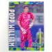 [ б/у ] Shonan bell mare Poe p* William подписан ponte King . входить карта 