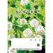  большой o-P. лекарство блокнот clover 40P 50 шт. 