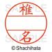 25ǯ121013ޤ_ϥ ǡ͡ţأ桡ޥ̾_