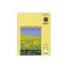 kokyo clear книжка изменение бумага A4 длина 2 дыра 10 листов 