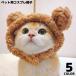  для домашних животных костюмированная игра шляпа собака кошка костюм маскарадный костюм костюм преображение головной убор головной убор нежный боа флис животное медведь симпатичный уголок имеется 